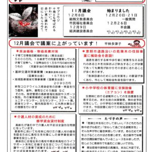 どくしゃニュース 多津子と南江の議員報告　１２月４日号