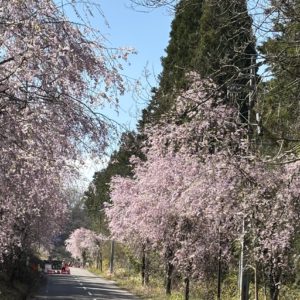 坂下地域で議会報告会を開催しました🌸