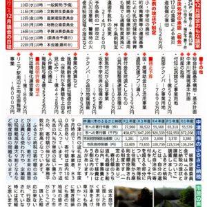 民報なかつがわ　１１月３０日号